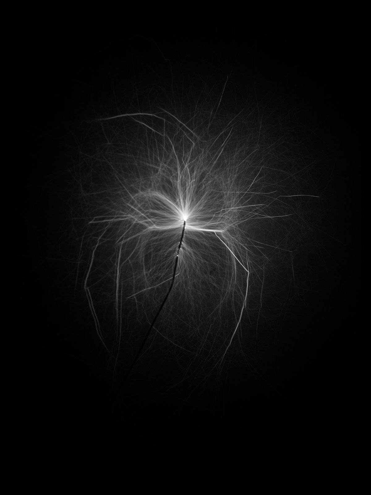 Invisible / Invencible