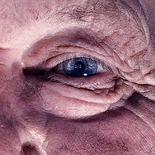 L'allophone<br/>de<br/>la vie